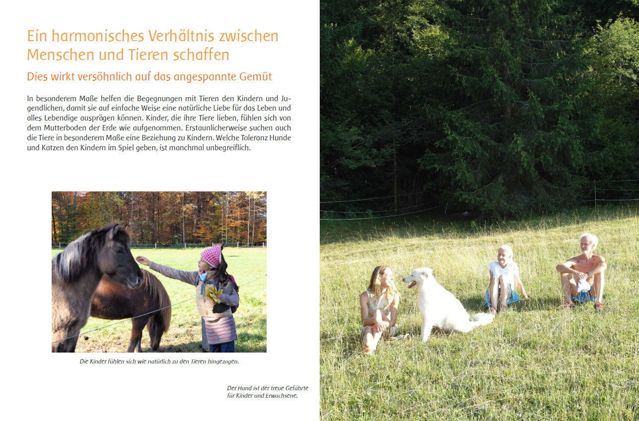 Ein harmonisches Verhältnis zwischen Mensch und Tier schaffen