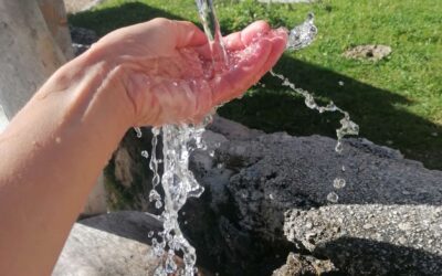 Ausstellung im Sunnehus