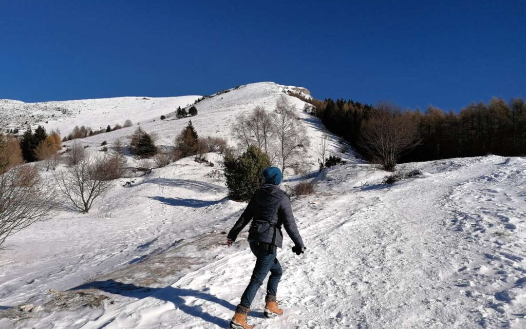 Die Selbsterziehung zur Gesundheit